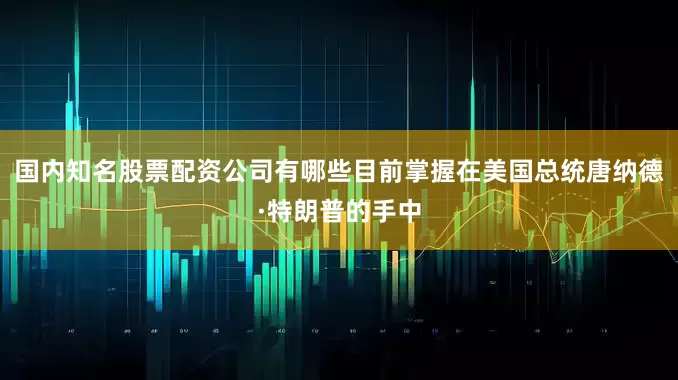 国内知名股票配资公司有哪些目前掌握在美国总统唐纳德·特朗普的手中