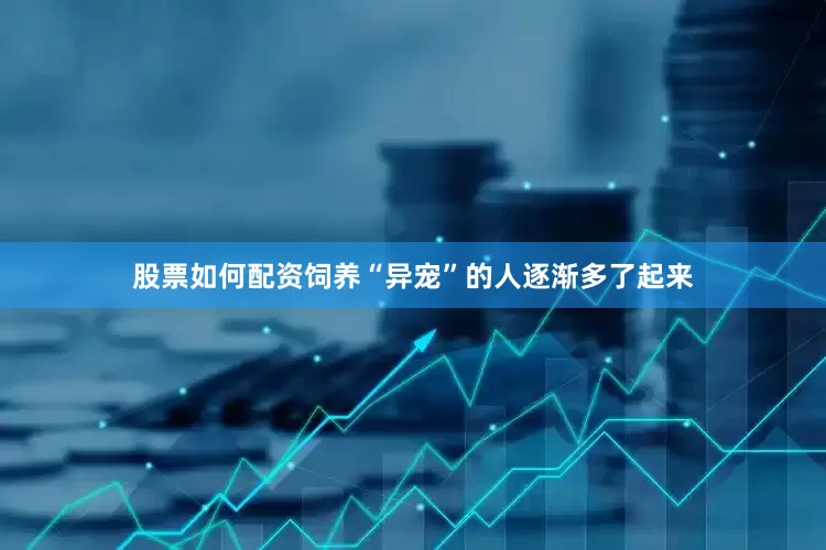 股票如何配资饲养“异宠”的人逐渐多了起来