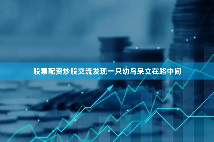 股票配资炒股交流发现一只幼鸟呆立在路中间