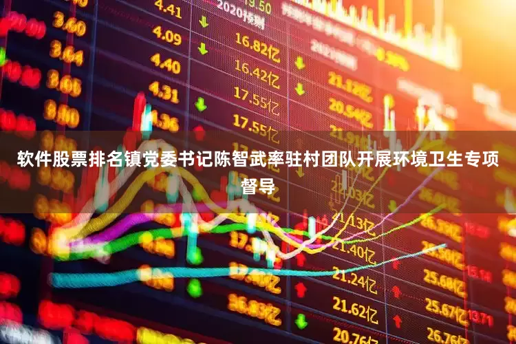 软件股票排名镇党委书记陈智武率驻村团队开展环境卫生专项督导
