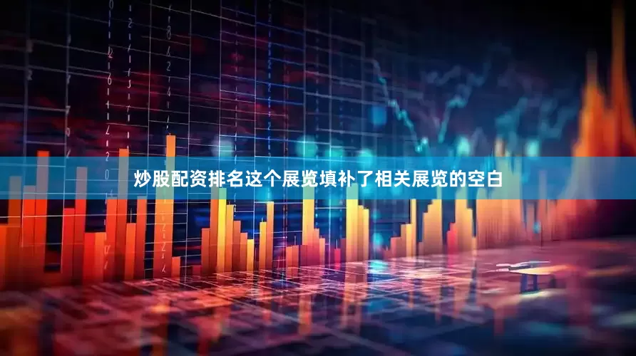 炒股配资排名这个展览填补了相关展览的空白